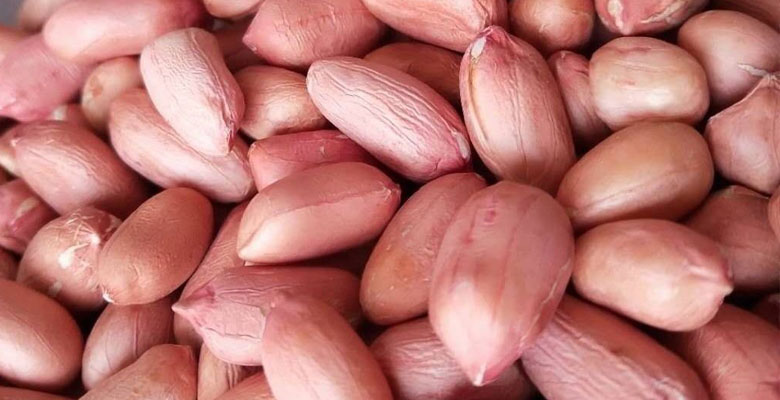 House Nuts Original